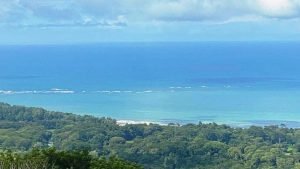 Imagen de WhatsApp 24