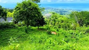 Imagen de WhatsApp 25