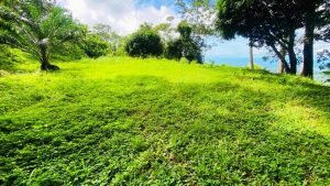 Imagen de WhatsApp 26