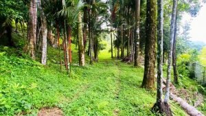 Imagen de WhatsApp 27