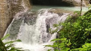 Imagen de WhatsApp 3