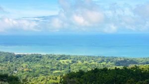 Imagen de WhatsApp 6