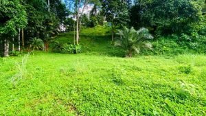 Imagen de WhatsApp 7