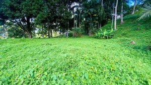 Imagen de WhatsApp 8