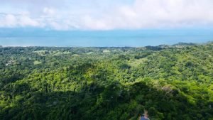 Imagen de WhatsApp 9