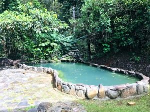 Ojochal Estate Home and Property_42