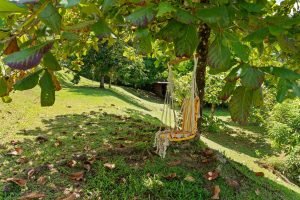 Ojochal Estate Home and Property_47