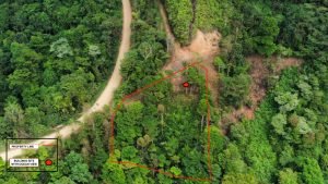 dji_fly_20230113_113612_182_1673631381768_photo_optimized