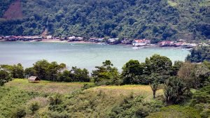 Unique Property Overlooking Pristine Golfito Bay and Golfo Dulce