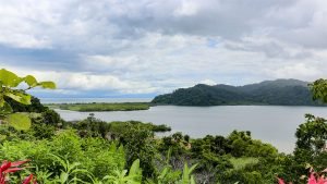 Unique Property Overlooking Pristine Golfito Bay and Golfo Dulce