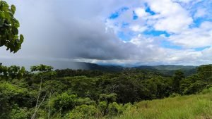 Unique Property Overlooking Pristine Golfito Bay and Golfo Dulce
