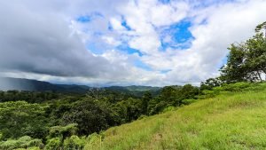 Unique Property Overlooking Pristine Golfito Bay and Golfo Dulce