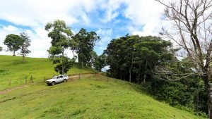 Unique Property Overlooking Pristine Golfito Bay and Golfo Dulce