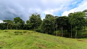 Unique Property Overlooking Pristine Golfito Bay and Golfo Dulce