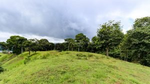 Unique Property Overlooking Pristine Golfito Bay and Golfo Dulce