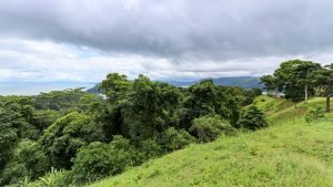 Unique Property Overlooking Pristine Golfito Bay and Golfo Dulce