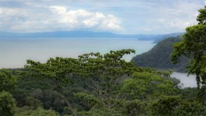 Unique Property Overlooking Pristine Golfito Bay and Golfo Dulce