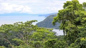 Unique Property Overlooking Pristine Golfito Bay and Golfo Dulce