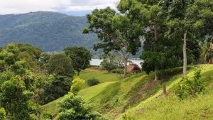 Unique Property Overlooking Pristine Golfito Bay and Golfo Dulce