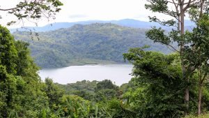 Unique Property Overlooking Pristine Golfito Bay and Golfo Dulce