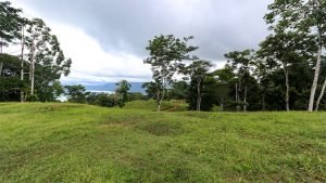 Unique Property Overlooking Pristine Golfito Bay and Golfo Dulce