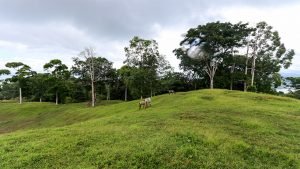 Unique Property Overlooking Pristine Golfito Bay and Golfo Dulce