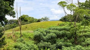 Unique Property Overlooking Pristine Golfito Bay and Golfo Dulce