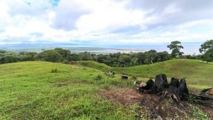 Unique Property Overlooking Pristine Golfito Bay and Golfo Dulce