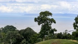 Unique Property Overlooking Pristine Golfito Bay and Golfo Dulce