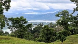 Unique Property Overlooking Pristine Golfito Bay and Golfo Dulce