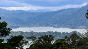 Unique Property Overlooking Pristine Golfito Bay and Golfo Dulce