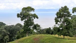 Unique Property Overlooking Pristine Golfito Bay and Golfo Dulce
