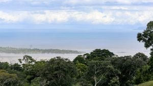 Unique Property Overlooking Pristine Golfito Bay and Golfo Dulce