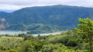 Unique Property Overlooking Pristine Golfito Bay and Golfo Dulce