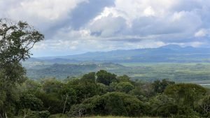 Unique Property Overlooking Pristine Golfito Bay and Golfo Dulce