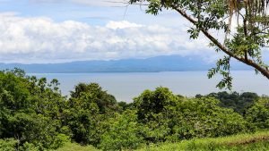 Unique Property Overlooking Pristine Golfito Bay and Golfo Dulce