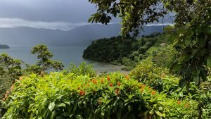 Unique Property Overlooking Pristine Golfito Bay and Golfo Dulce
