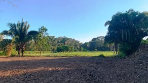 Optimized by JPEGmini 3.18.21.233342501-TBTBLNP 0x50dba82c