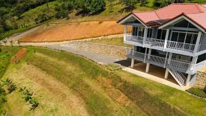 2021720131938_photo_original