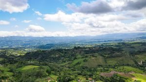 2021720132110_photo_original