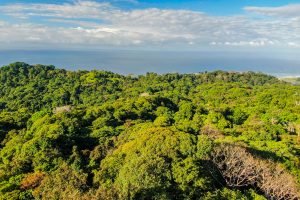 205-Acre-Lot-Dominical-Drone-10