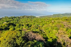 205-Acre-Lot-Dominical-Drone-8