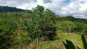 22 View from Front facing E