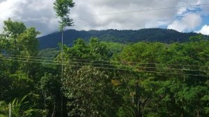 23 View from Front facing N