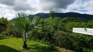 24 View from Front facing W