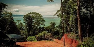 Captura de Pantalla 2023-08-24 a la(s) 08.56.33