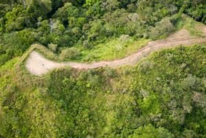 Copy of _DSC0249 (1)