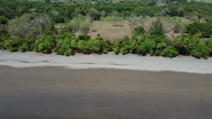 DJI_0165