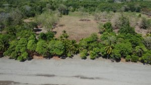 DJI_0166