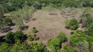 DJI_0167